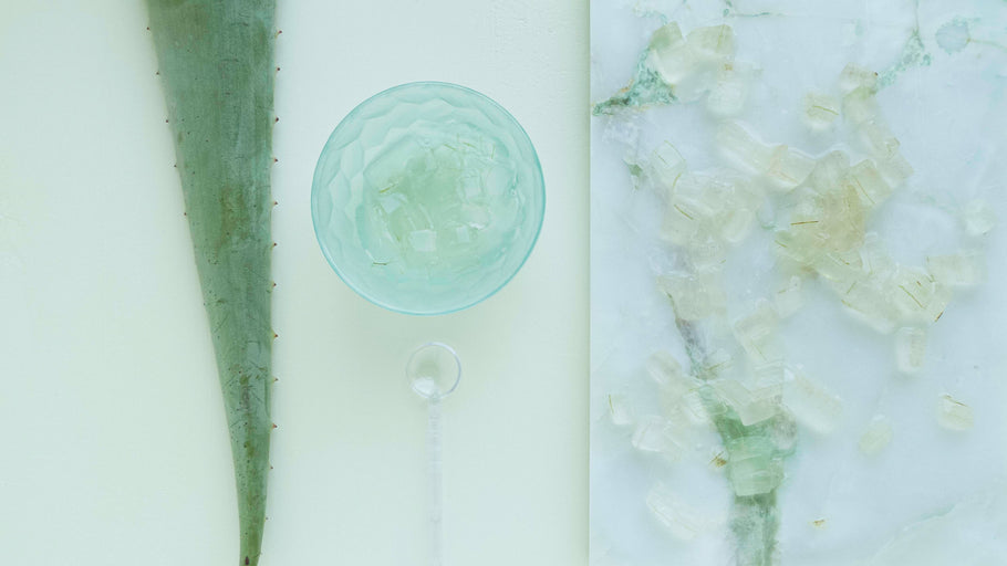 Aloe Vera: ihre Vorteile und ihre Verwendung