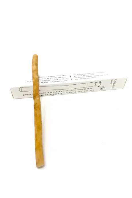 Siwak - Brosse à dents Naturelle Caliquo