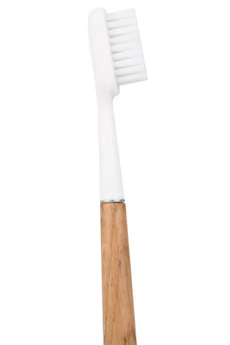 Brosse a dents ecologique